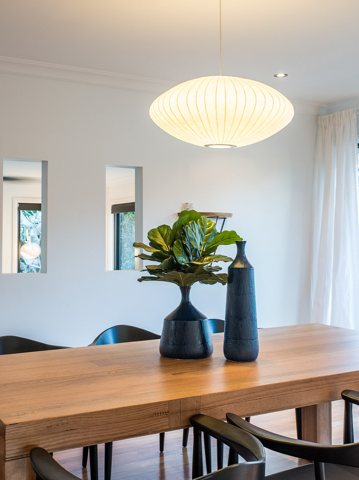 This is an example of a contemporary dining room in Brisbane.