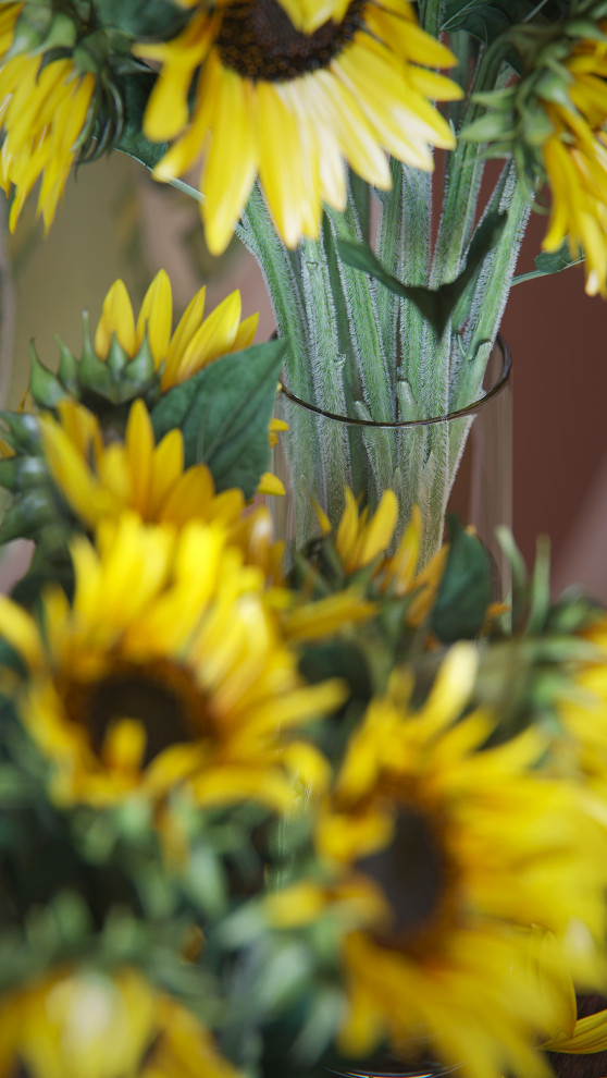 Яркая квартира (г. Санкт-Петербург)