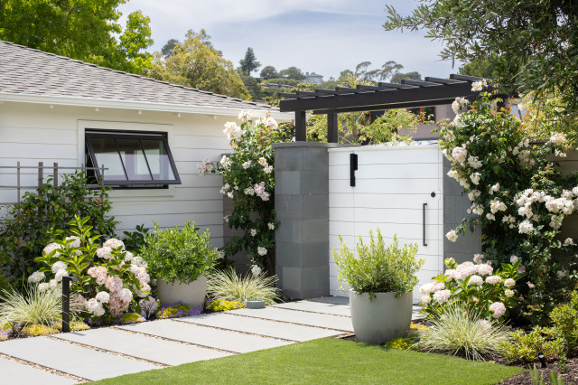 Belvedere Landscaping contemporary-garden