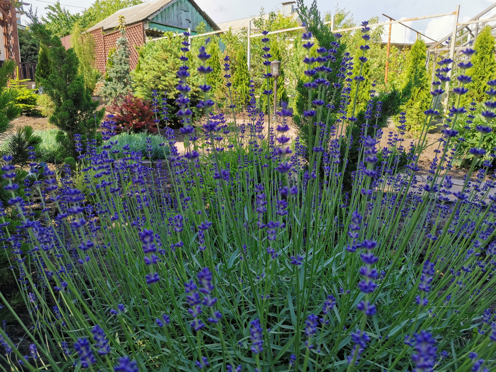 Реализованные объекты