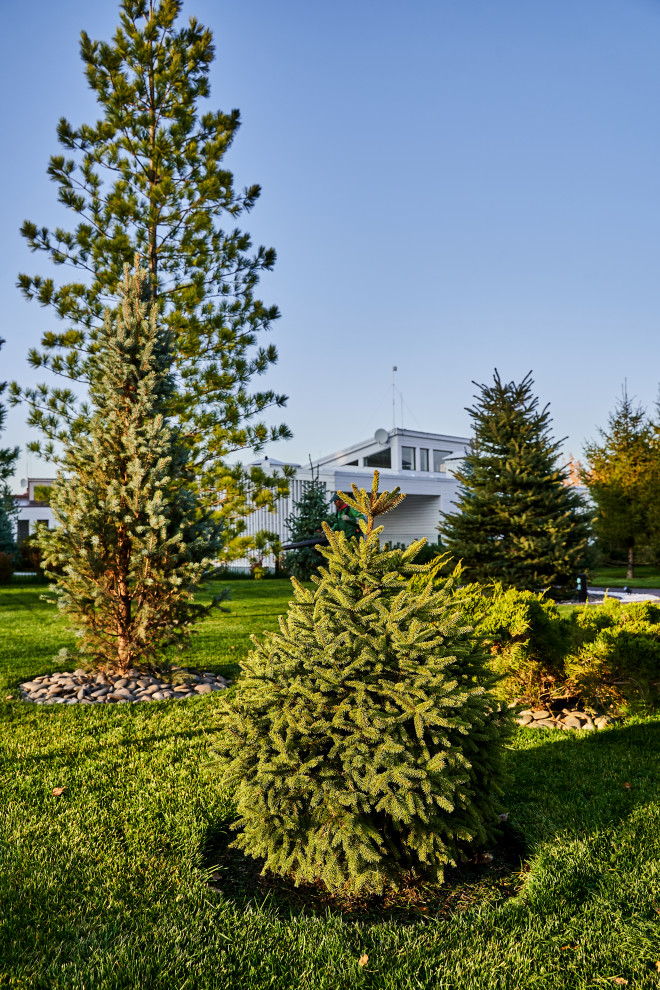 Участок с мужским характером