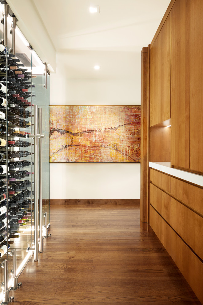 Large mid-century modern medium tone wood floor and brown floor wine cellar photo in Other with display racks