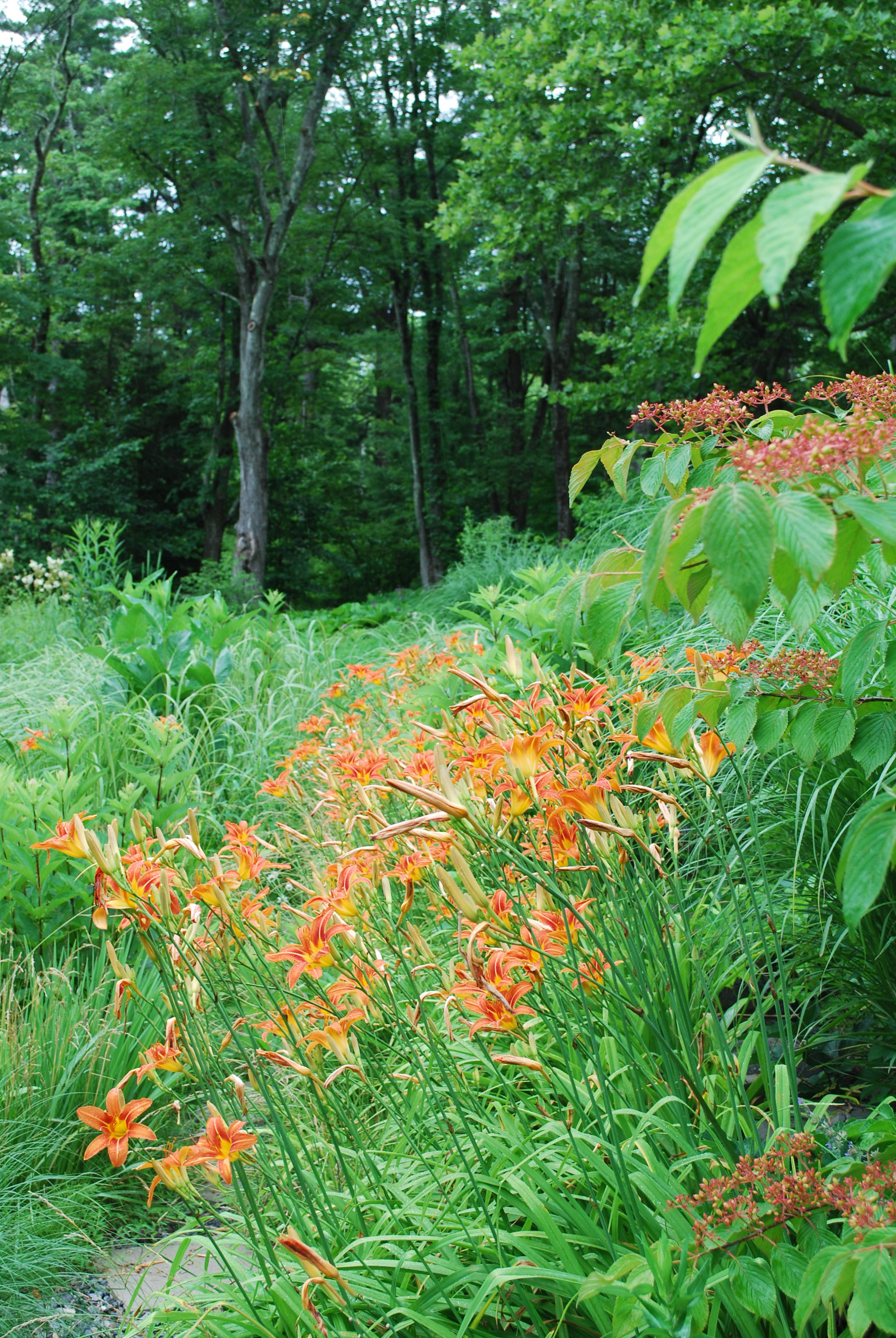 James Golden's Garden at Federal Twist