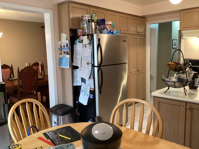 kitchen before reno transitional