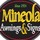 Mineola signs & Awnings