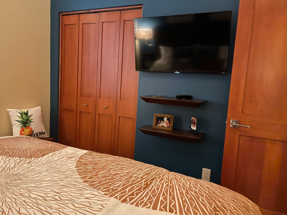 Esempio di una piccola camera degli ospiti minimalista con pareti blu, parquet scuro, pavimento marrone e TV
