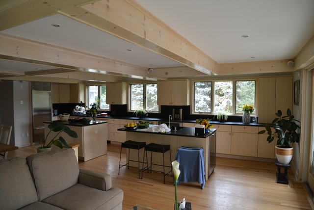 Kitchen contemporary-kitchen
