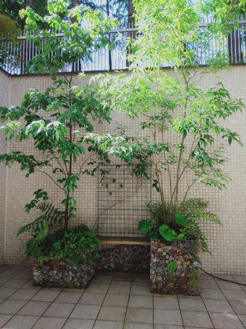 ベンチ つるバラフェンス付きガビオンのプランター Japonais Jardin Tokyo Par 成城グリーン株式会社