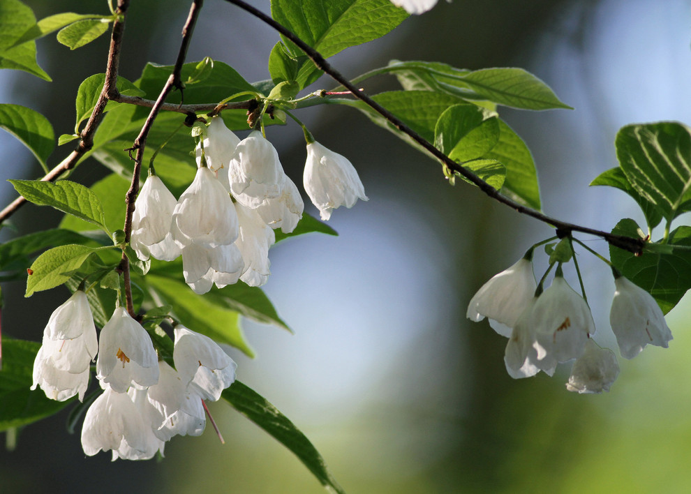 This is an example of a landscaping in Other.