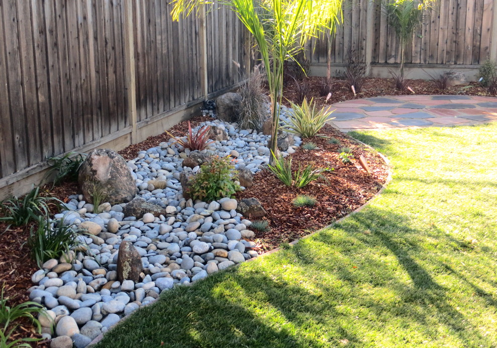 Design ideas for a mid-sized transitional backyard garden in San Francisco with river rock.