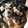 sueann_hufford