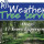 All Weather Tree Service LLC