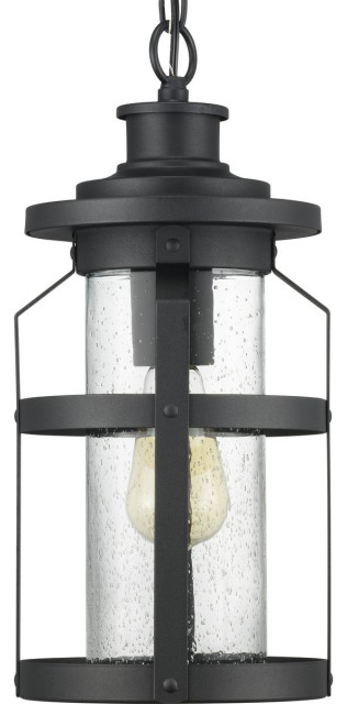 Progress Haslett 1-Light Outdoor Hanging Lantern P550031-031, Black