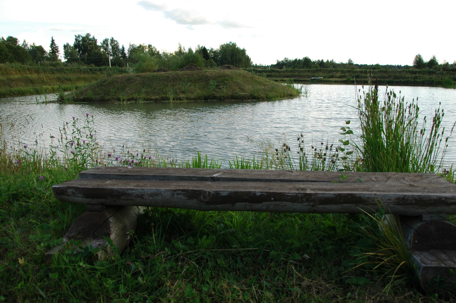 Поместье. Усадьба