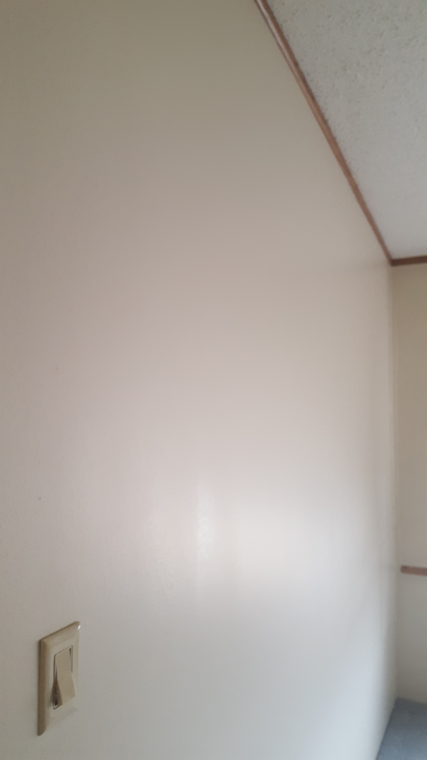 Interior Painting Projects