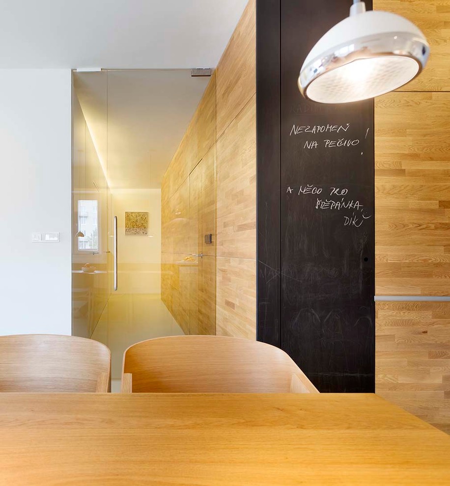 Проект реконструкции 3-х км. квартиры (Брно, Чехия) Дизайн: Ing.arch. Radek