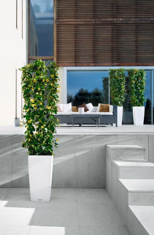 Стильный универсал