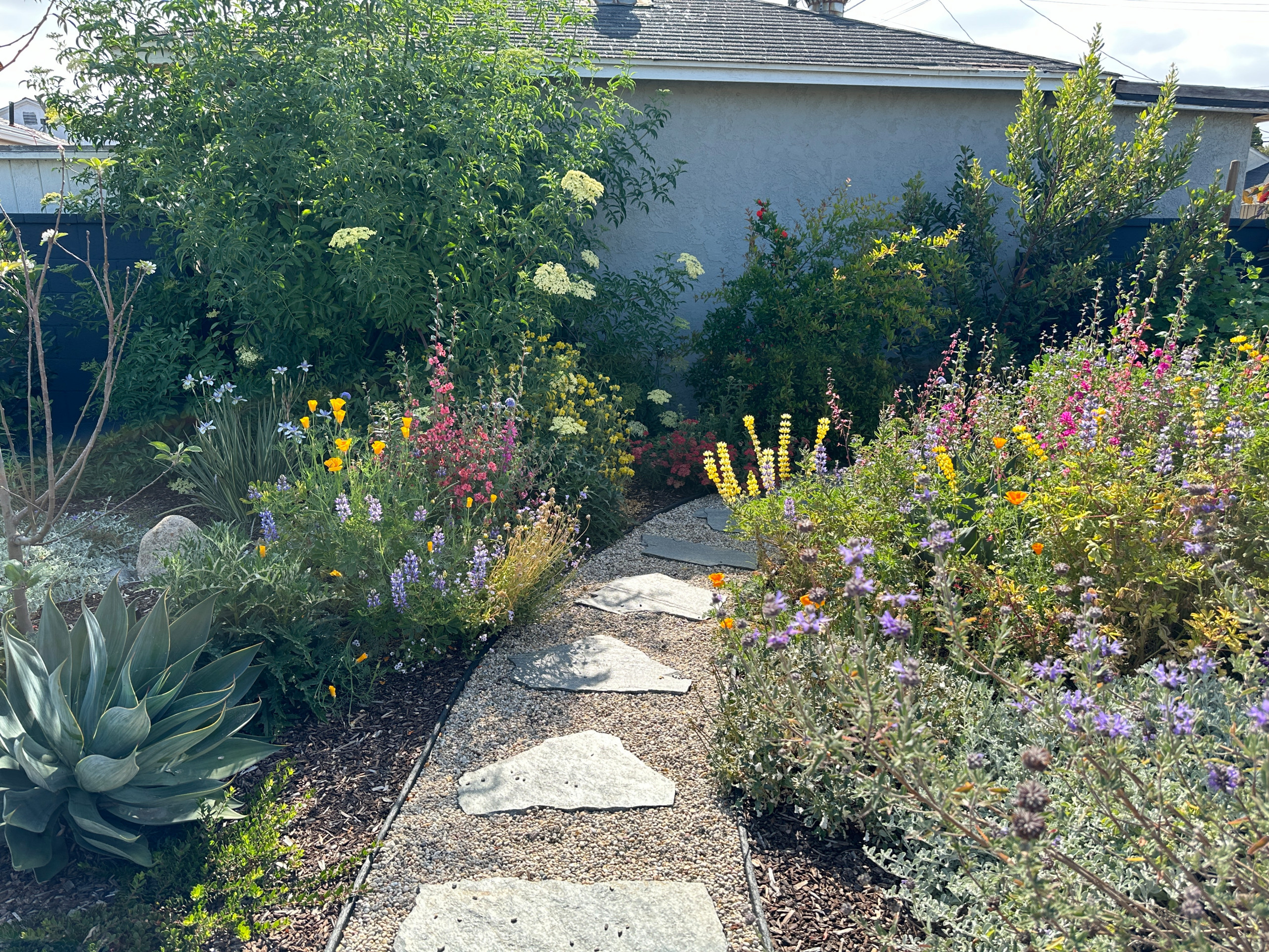 Food Forest & CA Native Plant Los Angeles Oasis
