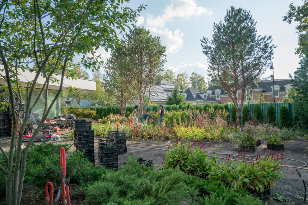 Антоновка. 30 соток. 2023 г.