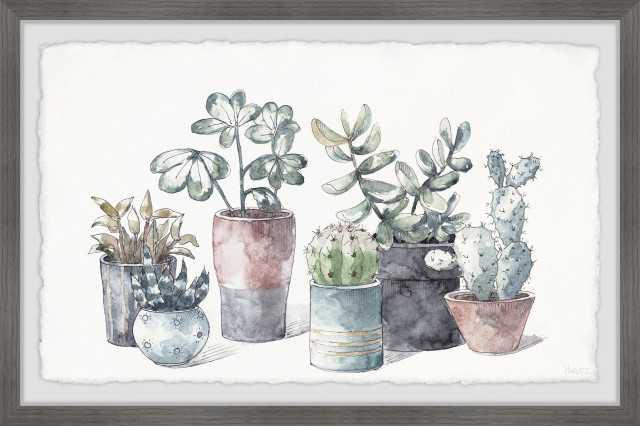 "Succulent, Display Planters" Framed Painting Print