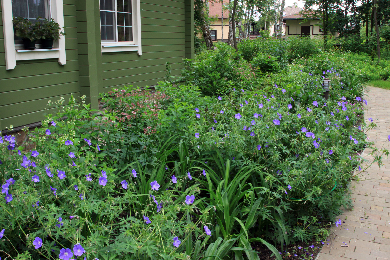 Проект "Волны". Верхний сад