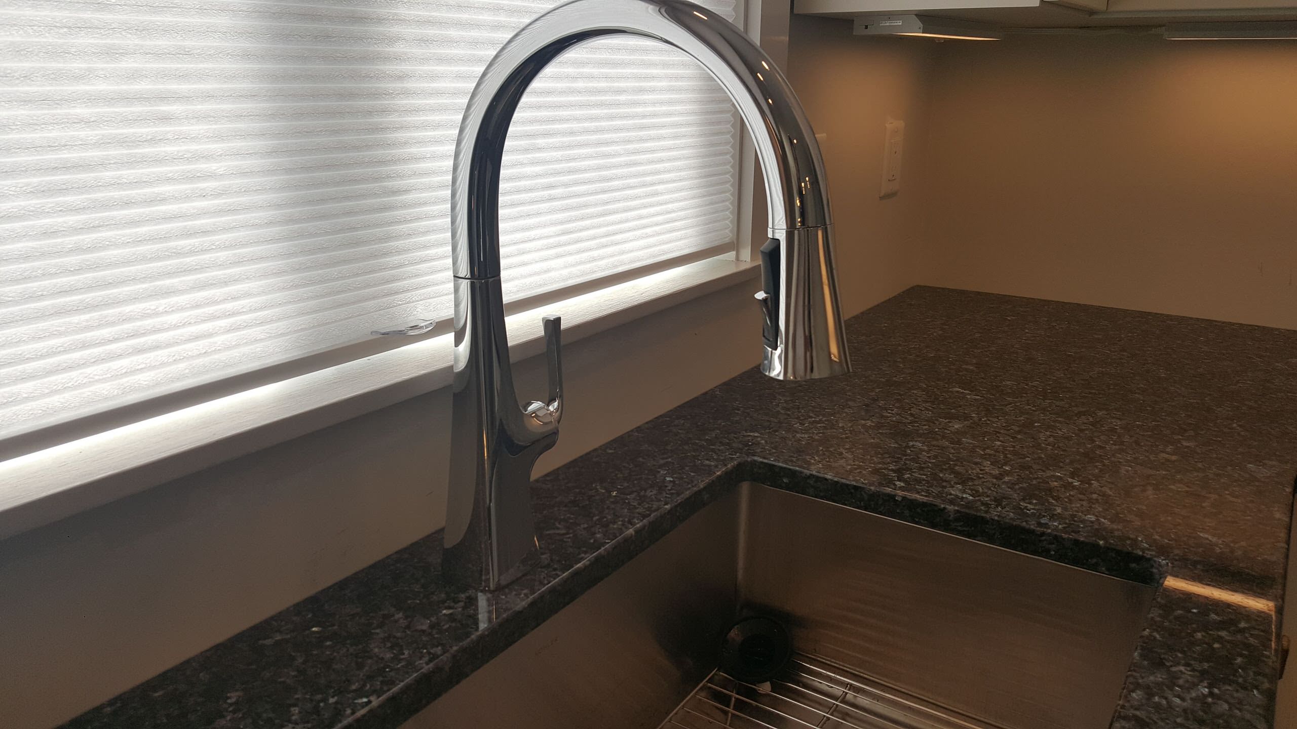 Designer's Kitchen