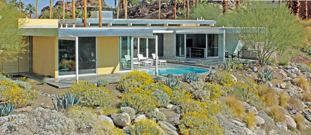 This is an example of a mid-sized midcentury backyard full sun garden for spring in Los Angeles.