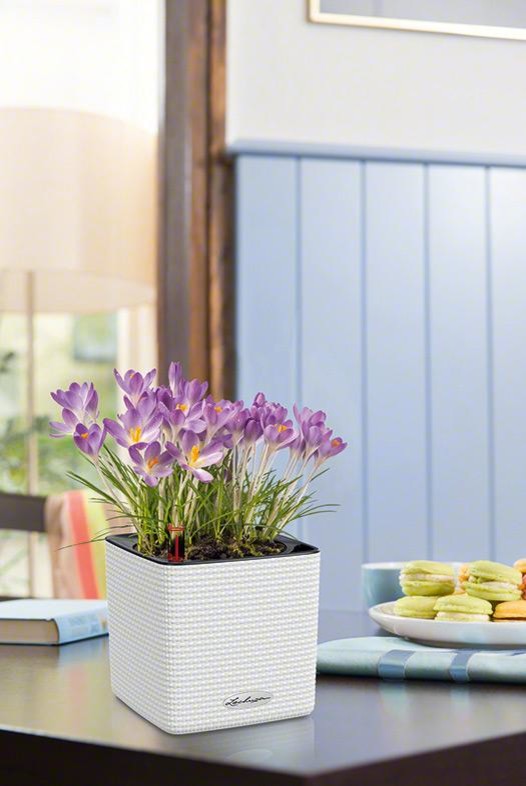 Интеллектуальный дизайн