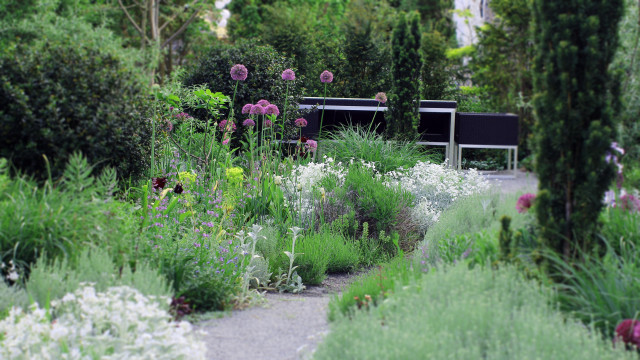 S&uuml;dexponierter Vorgarten mit Gr&auml;sern und mediterranen Pflanzen mediterranean-garden