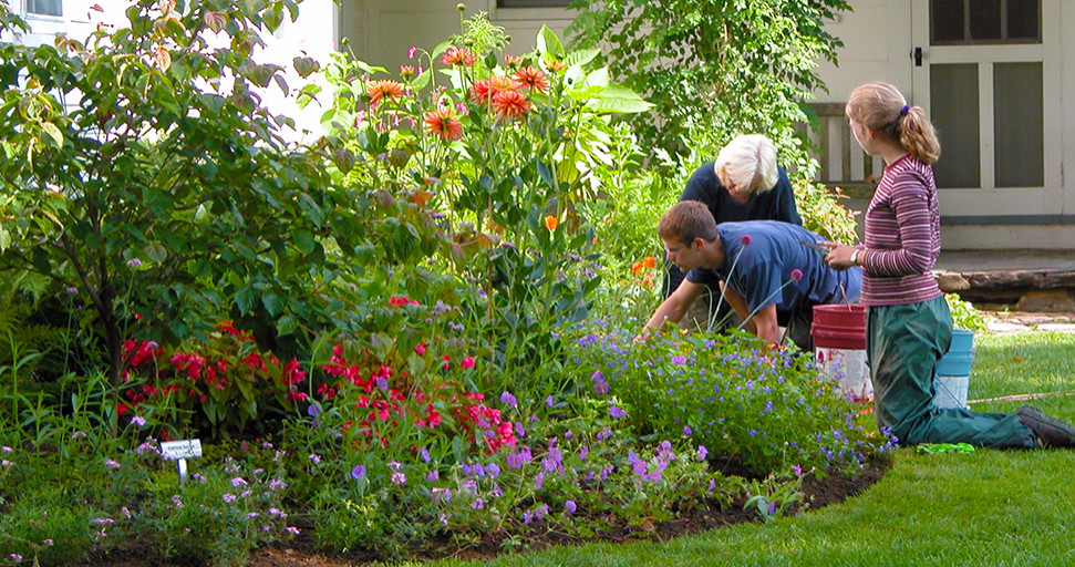 Gardener working with customer in the garden