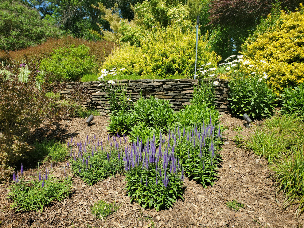 Cette photo montre un grand jardin arrière chic avec une exposition ensoleillée et des pavés en pierre naturelle.