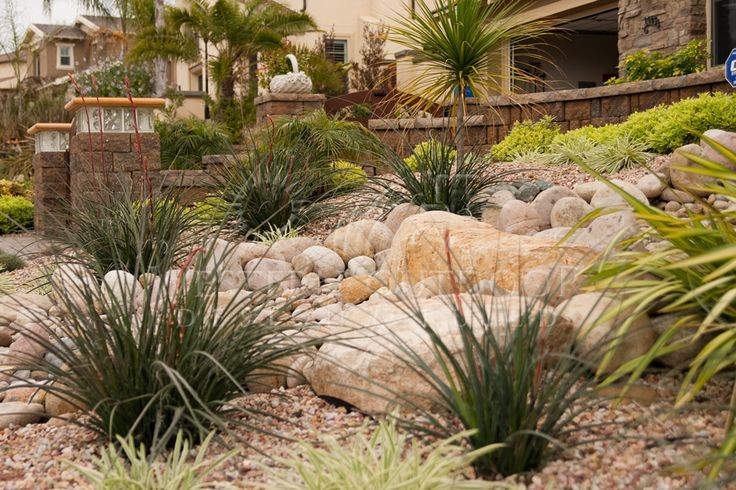 Photo of a large front yard xeriscape in San Diego with concrete pavers.