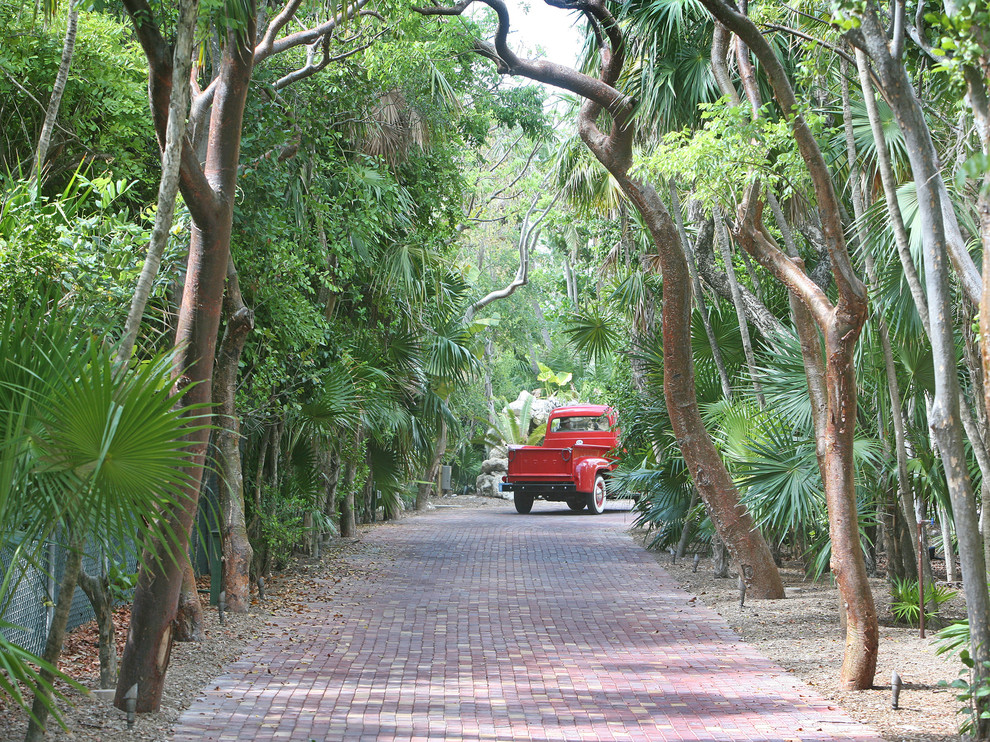 Inspiration for a tropical front yard driveway in Miami.