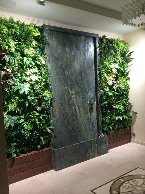 Фитостены в частном доме в поселке Аврора