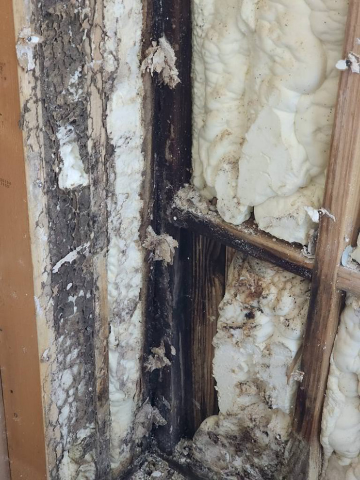 Termite and water damage