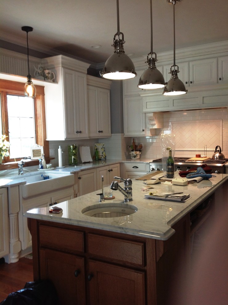 Kitchen - transitional kitchen idea in Chicago