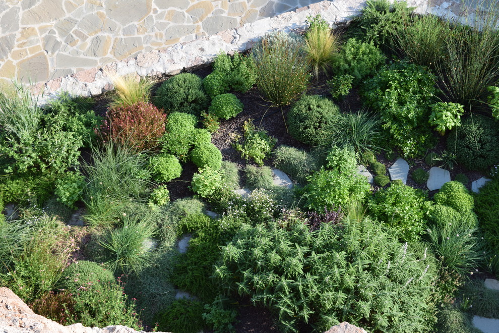 Design ideas for a mediterranean garden in Other.