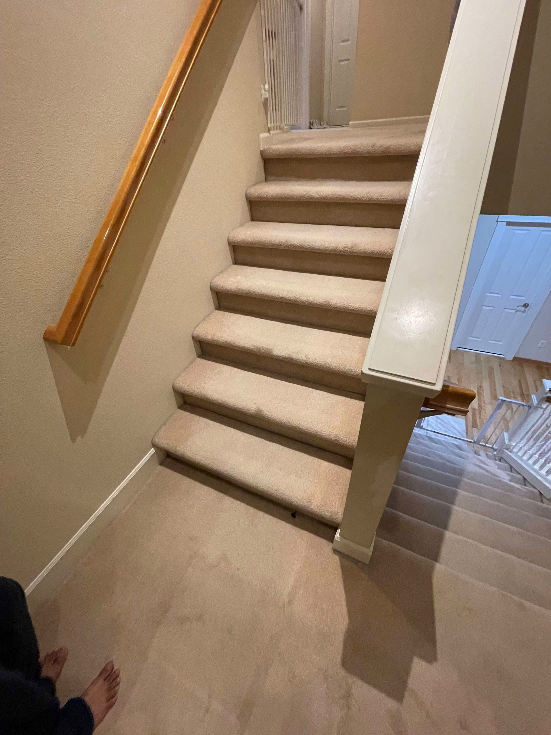 Flooring Replacement