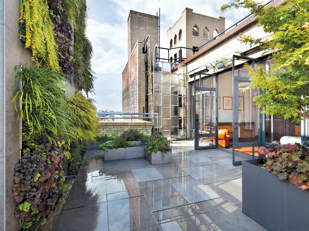 Mid-sized contemporary patio in New York with a vertical garden, tile and no cover.