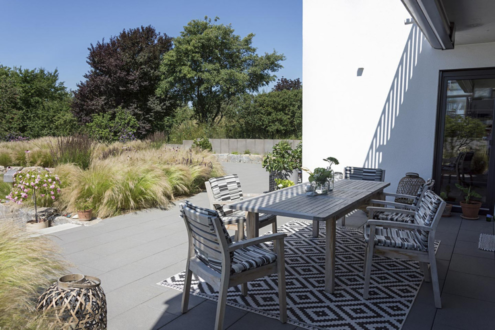 Imagen de jardín nórdico de tamaño medio en patio trasero con paisajismo estilo desértico y adoquines de hormigón