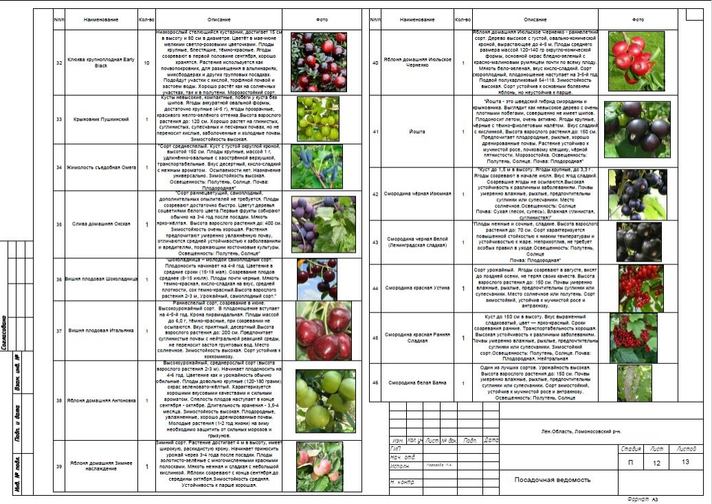 Ландшафтное проектирование