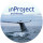 inProject