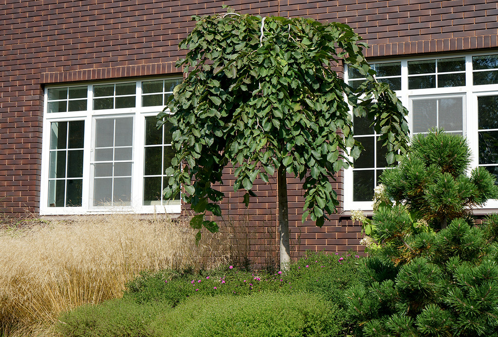 Маленькая усадьба