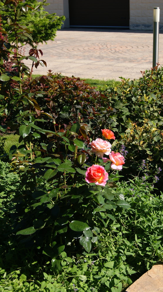 Сад "Европейская сдержанность"