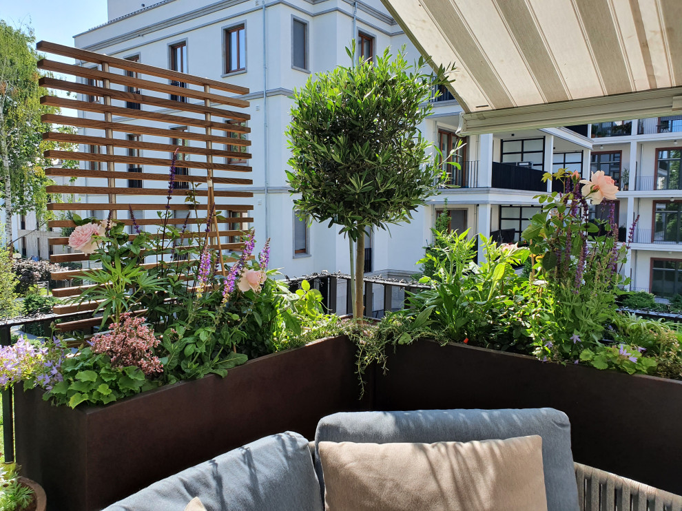Idee per una terrazza contemporanea di medie dimensioni e al primo piano con un giardino in vaso, un parasole e parapetto in metallo