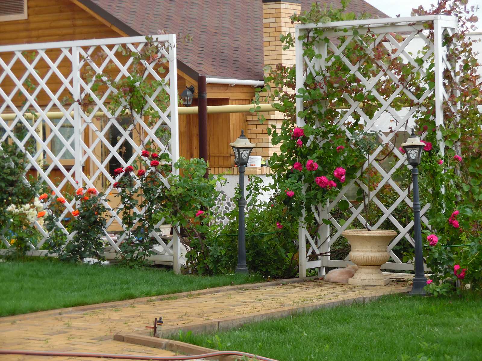 Современная классика. Цветущий сад