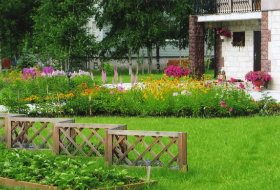 Озеленение