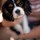 sally_grieser