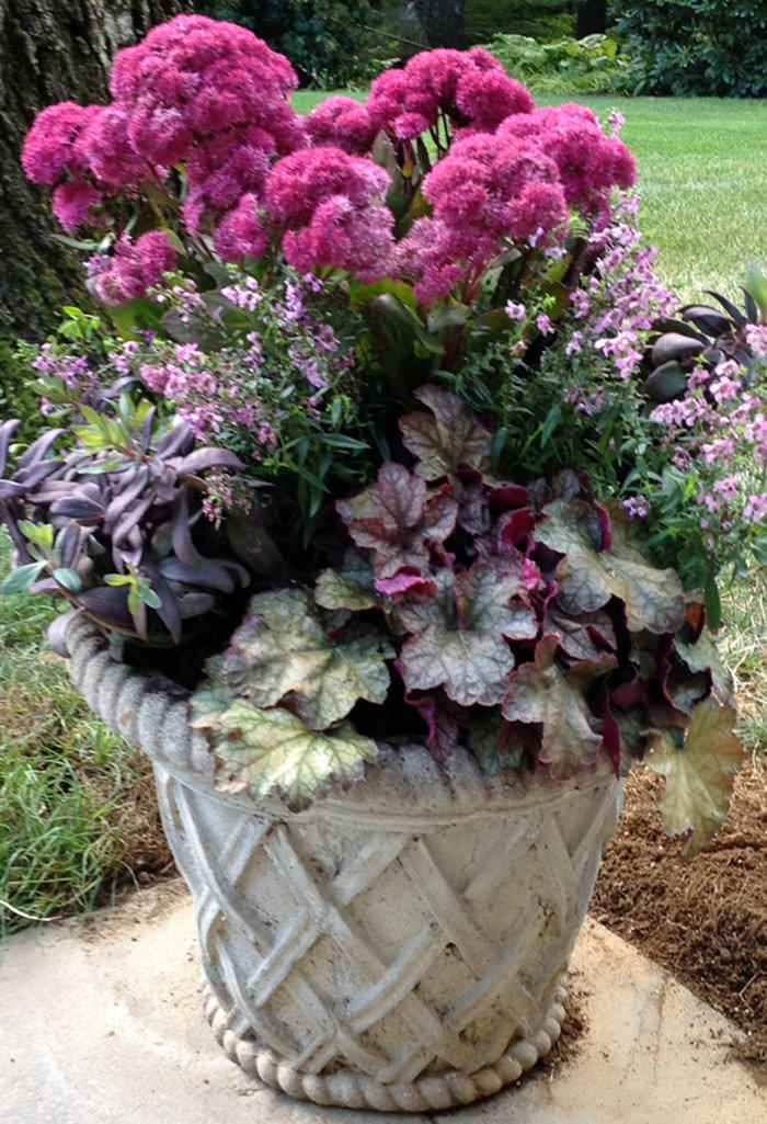 Potted Gardens