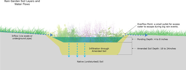 How To Shape A Rain Garden And Create The Right Soil For It